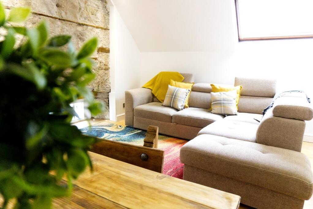 Stunning & Unique In Apartment